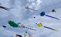 California Resident Brings Joy to the Community and Beyond With Giant Colorful Kites