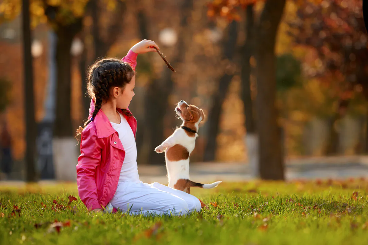 Training an animal takes a lot of dedication and knowledge, making it a great activity for homeschoolers to practice. (Oleksiy Rezin/Shutterstock)