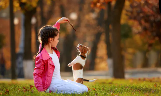 Homeschooling With Your Dog