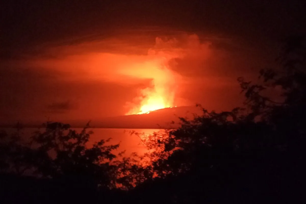 The La Cumbre volcano erupts at Fernandina Island, in Galápagos Islands, Ecuador, on March 3, 2024. (Galapagos National Park via AP)