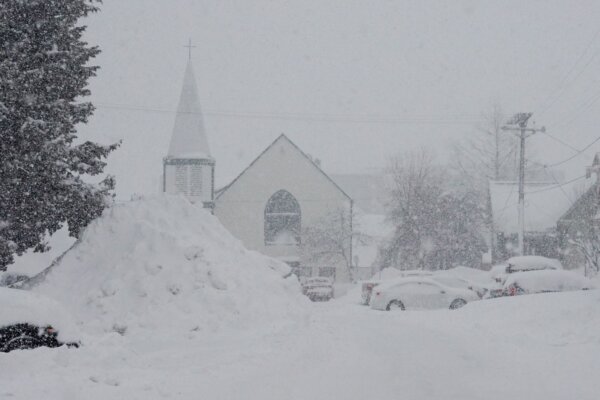 id5600052-cars-under-snow.jpg