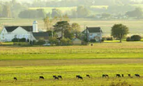 Amish Farmer Alleges Government Agency Falsified Evidence, Hid Results After Raid