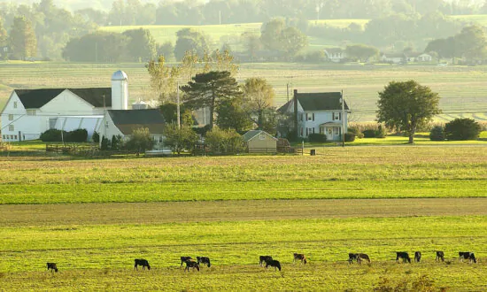 Amish Farmer Alleges Government Agency Falsified Evidence, Hid Results After Raid