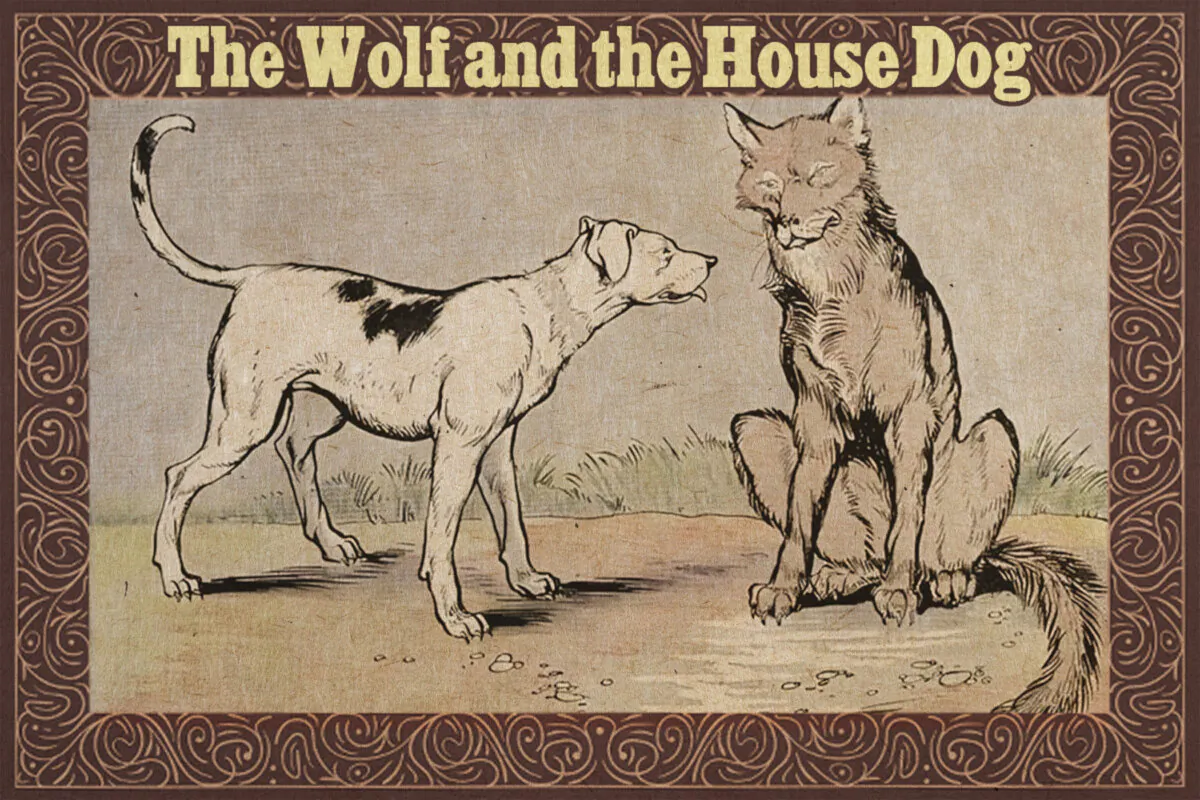 "The Wolf and the House Dog," illustrated by Milo Winter, from “The Aesop for Children,” 1919. (PD-US)