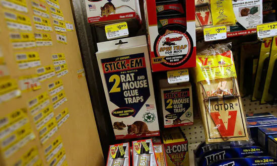 California City Bans ‘Extremely Cruel and Painful’ Animal Glue Traps