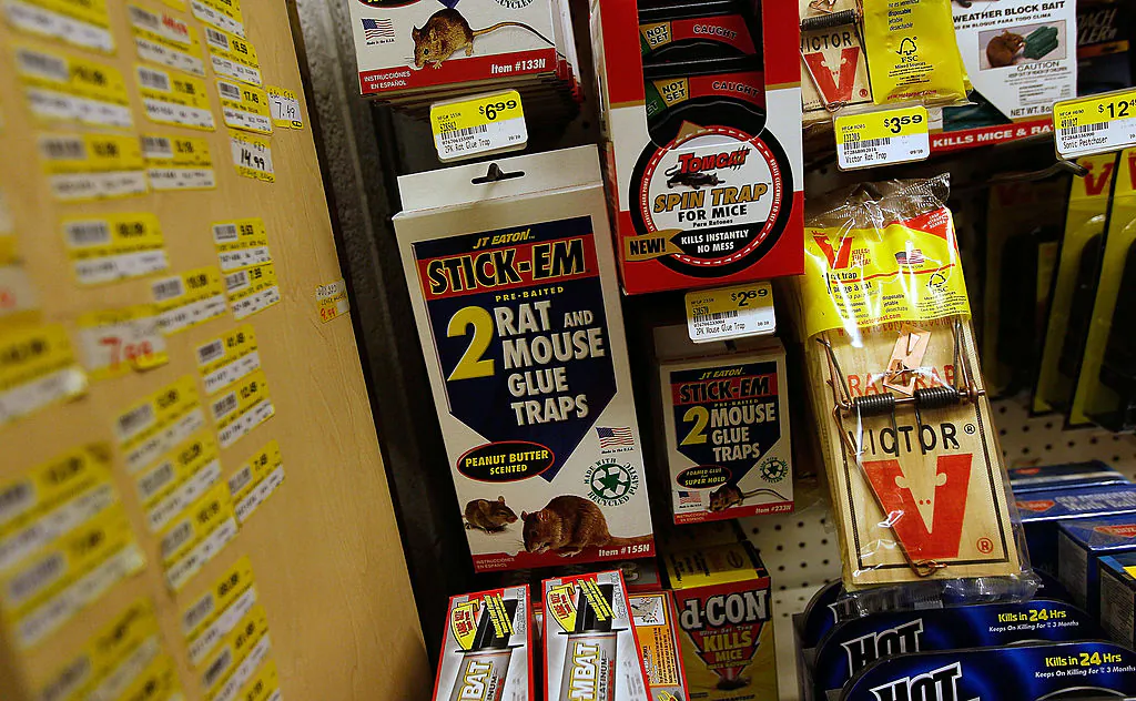 Non-toxic rodent glue traps and mechanical traps are displayed alongside chemical rodent-killing agents on the shelf of a hardware store in New York City on Dec. 22, 2010. (Chris Hondros/Getty Images)