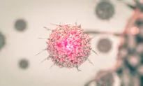 A Novel Theory on Breast Cancer and Exercise