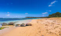 4 Best Beaches in Puerto Rico for Hikers, Private Vibes, and More