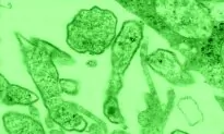 Health Officials Issue Warning on Mumps Outbreak in New Jersey