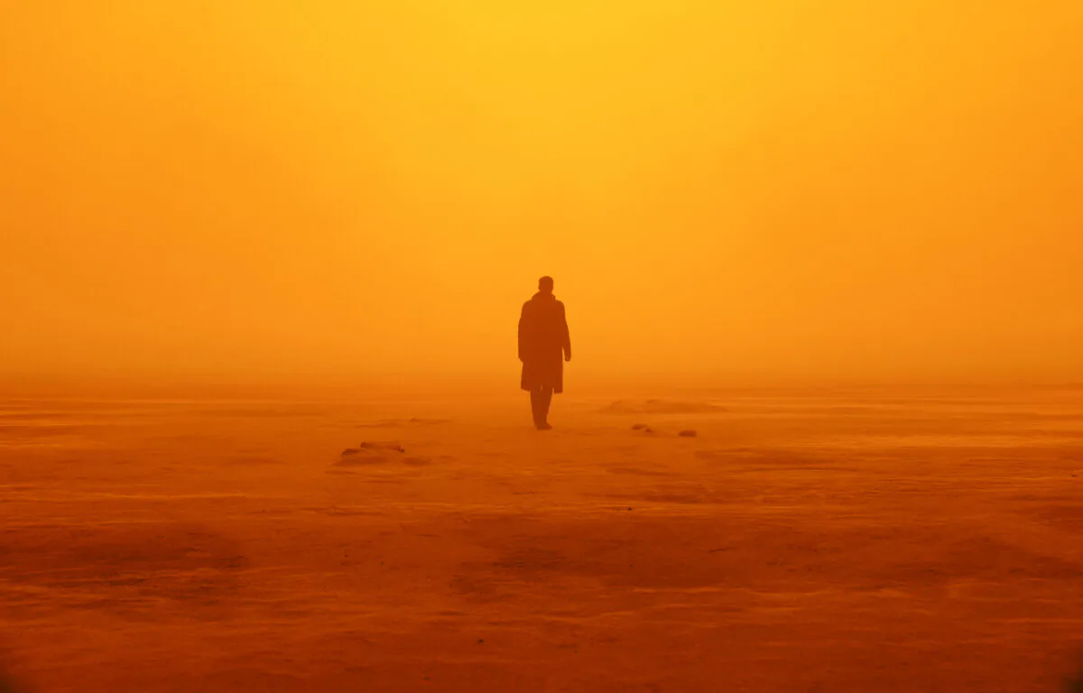 Some scholars suggest we’ve already living in a dystopia—one that mirrors societies presented in novels. A scene from the film, “Blade Runner 2049.” (MovieStillsDB)