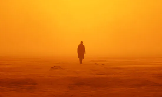 What Does the Popularity of Dystopias Say About Our Society?