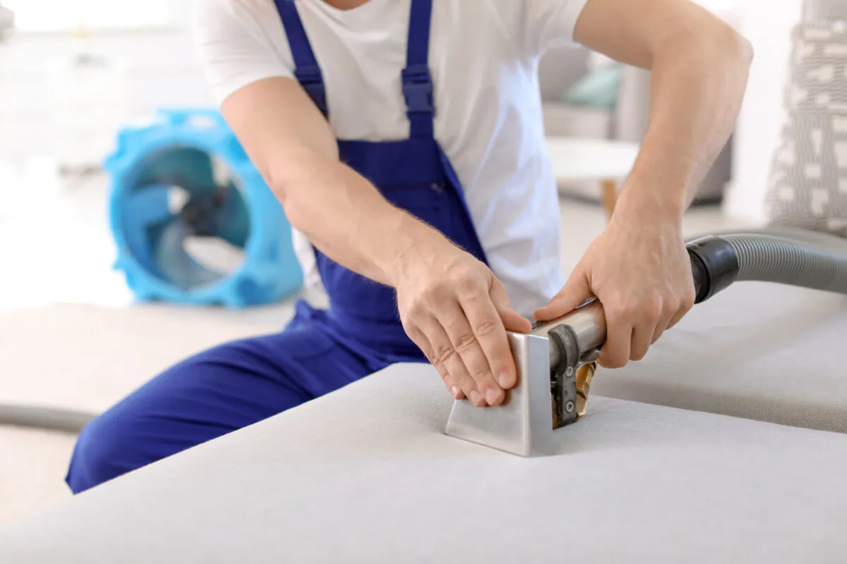 Upholstery cleaning can leave an older piece of furniture looking brand new. (Dreamstime/TNS)