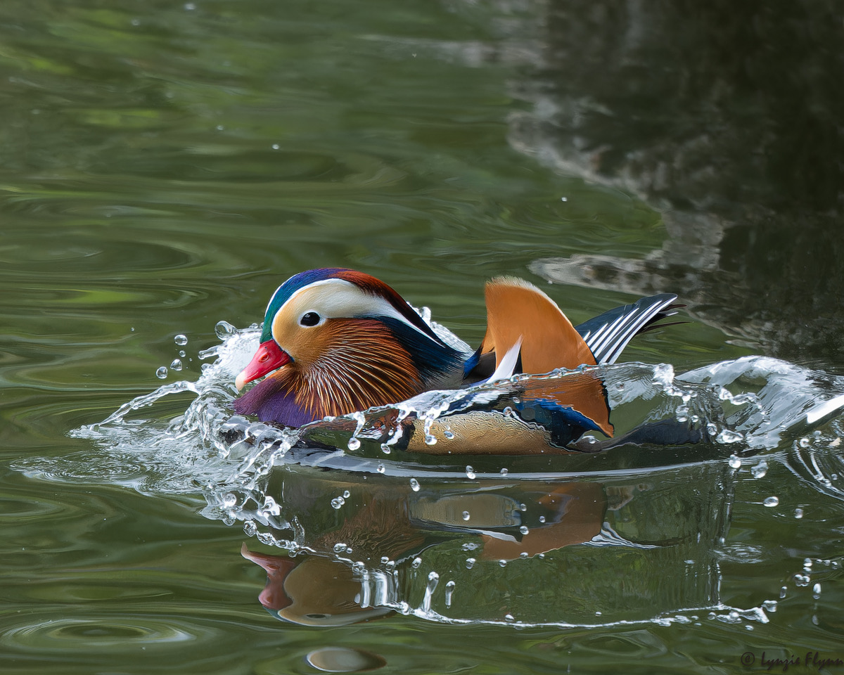 Epoch Times Photo