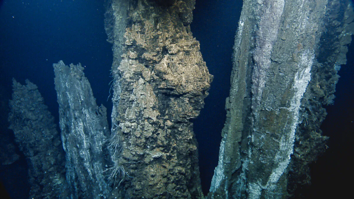 An image of the sea floor at the Endeavour segment of the Juan de Fuca Ridge is shown in a handout photo (The Canadian Press/HO-Ocean Network Canada/Ocean Exploration Trust)