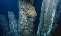 Deepsea Eruption Expected Off Vancouver Island After 200 Earthquakes in an Hour