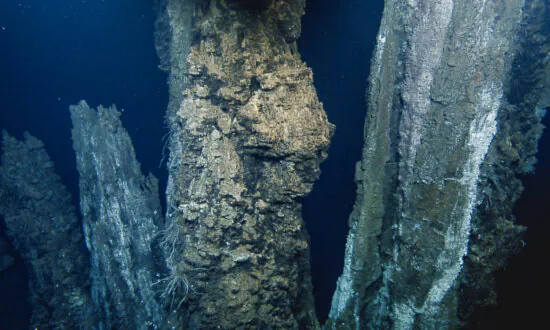 Deepsea Eruption Expected Off Vancouver Island After 200 Earthquakes in an Hour