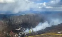 5 Dead, Including Child, in Jet Crash at Rural Virginia Airport