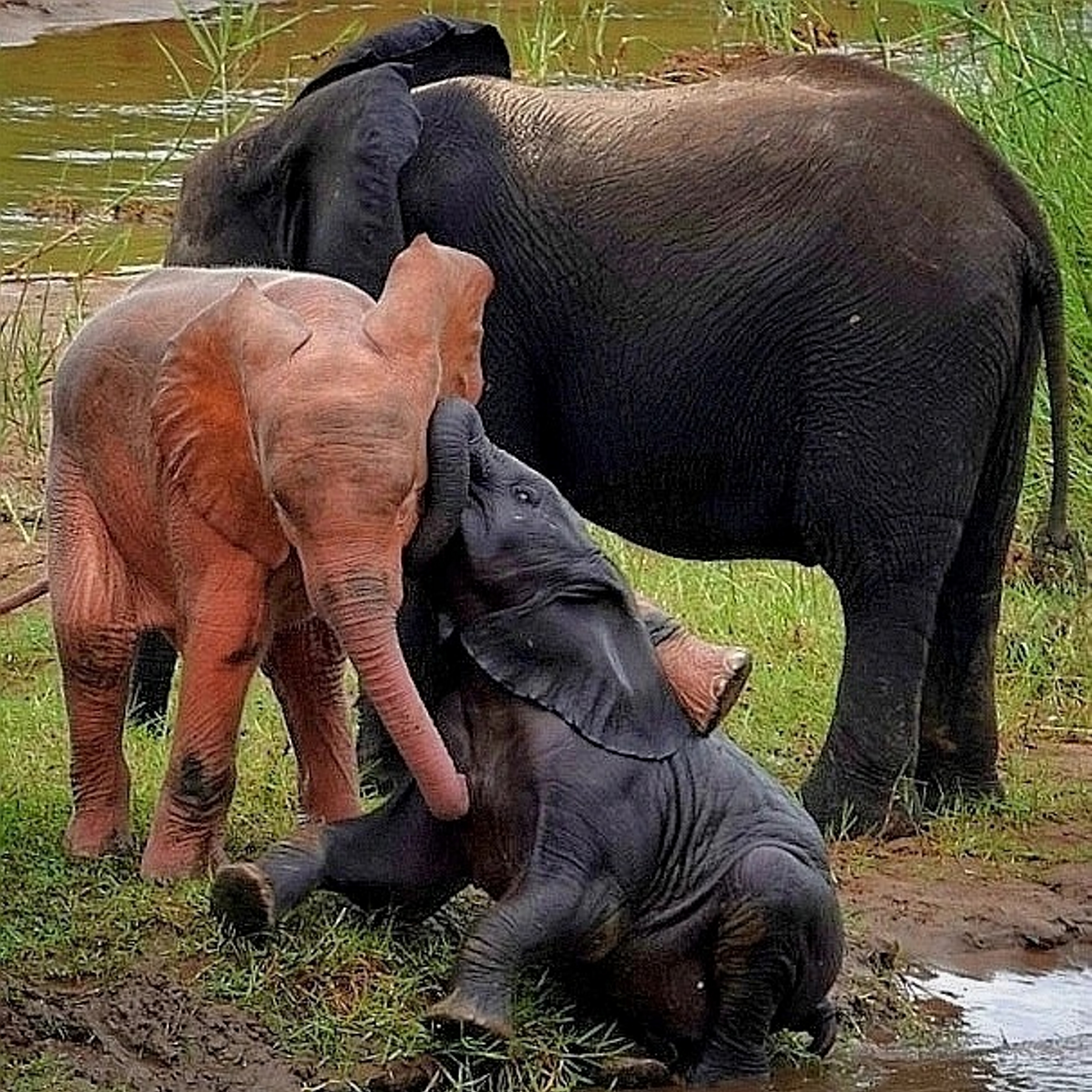 Epoch Times Photo