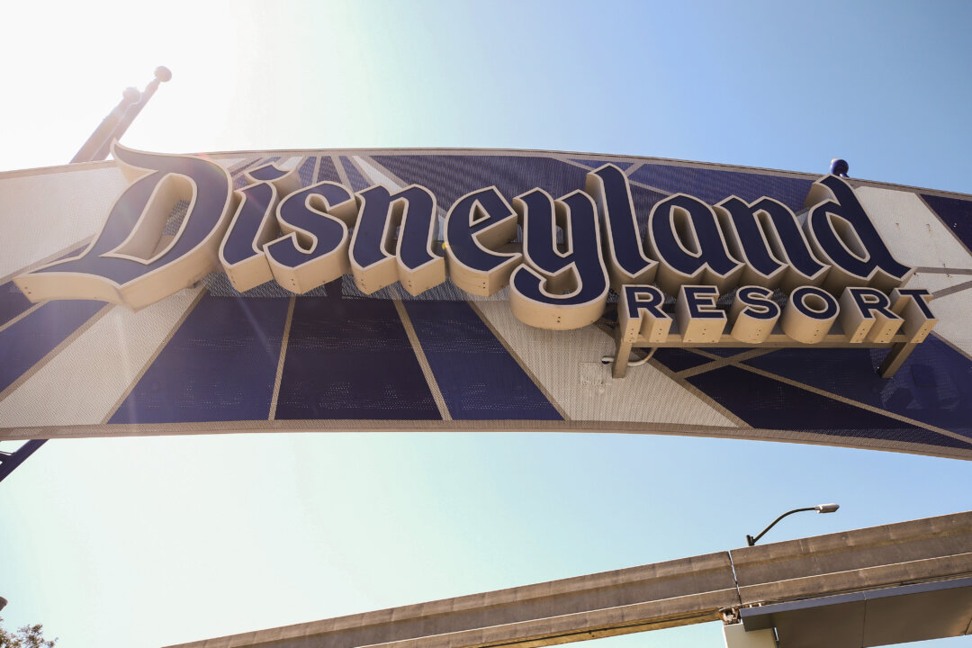 Teen Climbs out of Disneyland Ride, Slides Down 50-Foot Waterfall