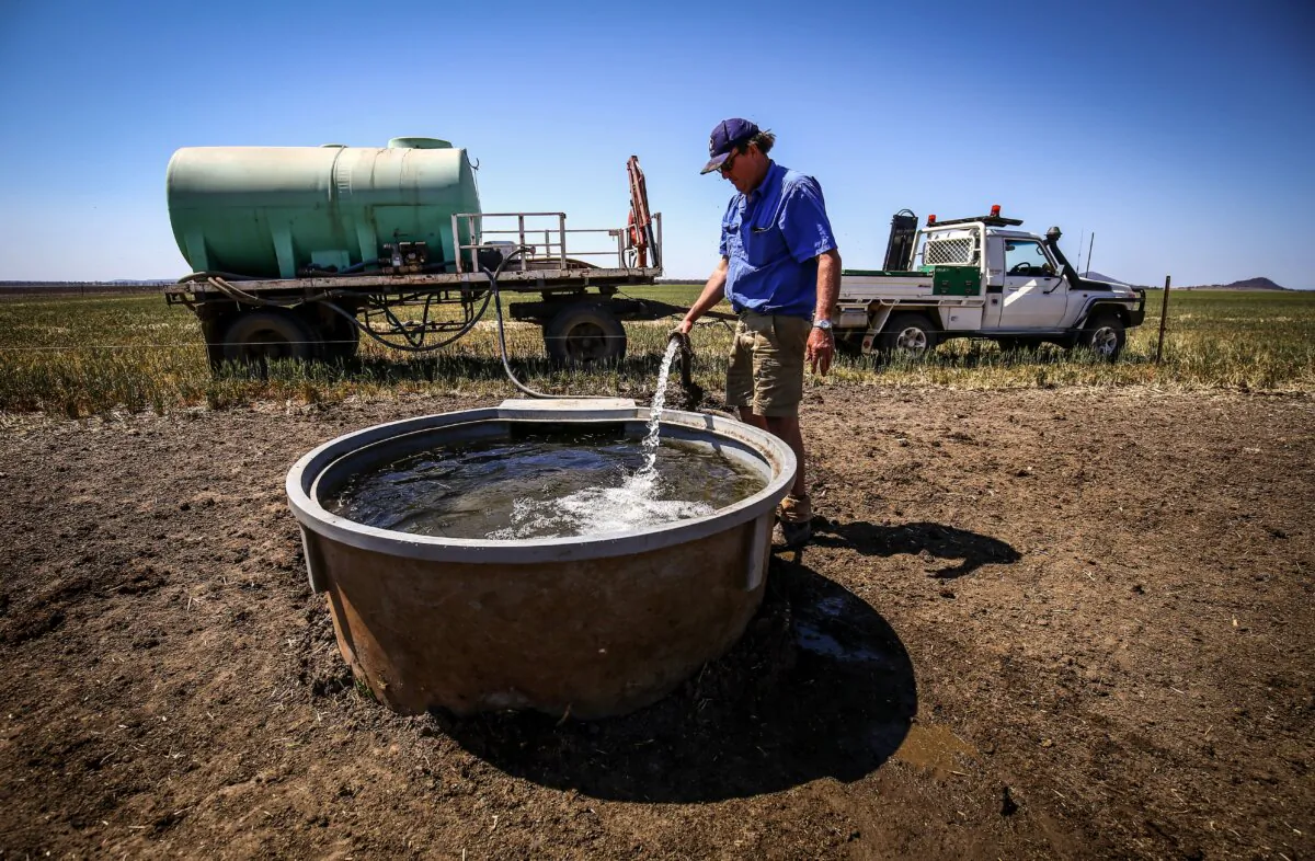 A farmer fills a drinking trough for his cattle in Gunnedah, Australia, on Oct. 3, 2019. (David Gray/Getty Images)