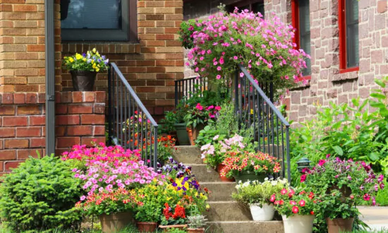 How to Create a Lush, Low-Maintenance Front Yard