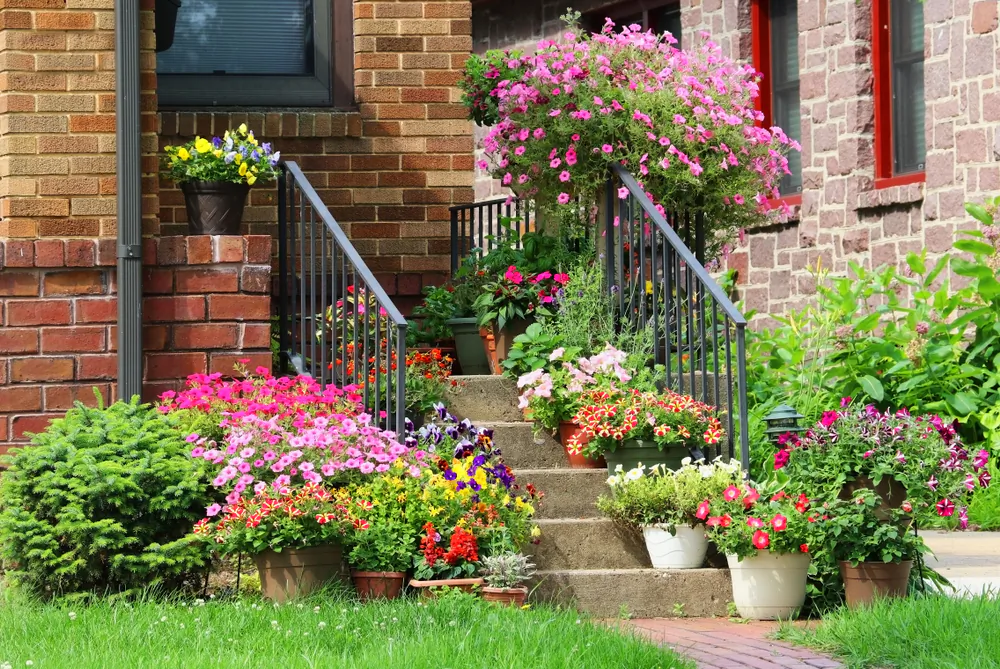 Container gardens can highlight the home’s entry.(MarynaG/Shutterstock)