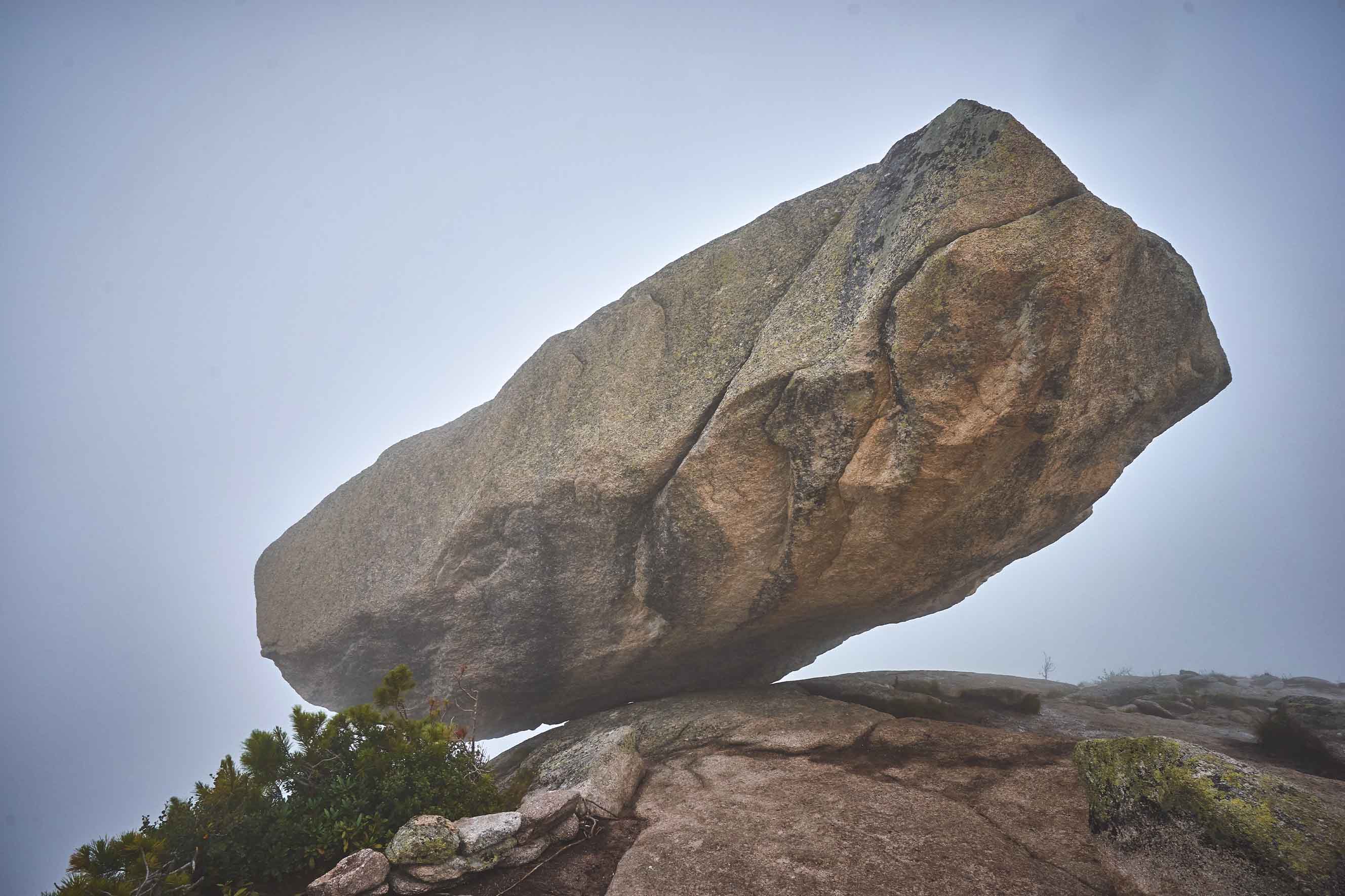 Epoch Times Photo