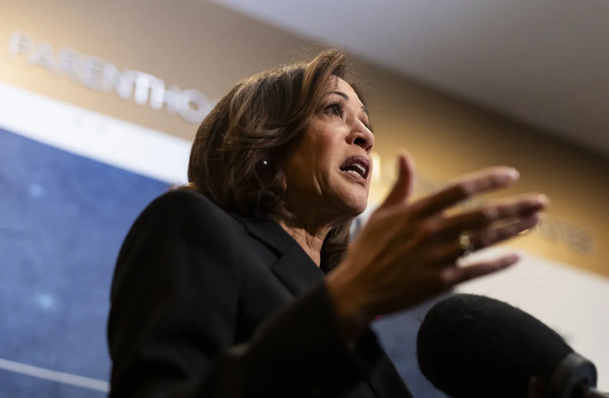 Vice President Kamala Harris speaks during her visit to a Planned Parenthood clinic in Saint Paul, Minn., on March 14, 2024. (Stephen Maturen/AFP via Getty Images)