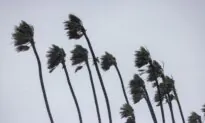Southern California Blasted With Santa Ana Winds Reaching Nearly 90 Mph