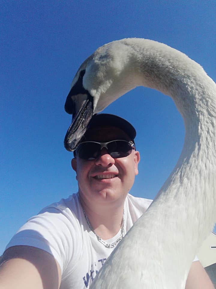 Totó the swan with Mr. Rigo.