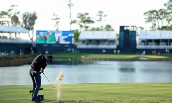 Rory McIlroy, Xander Schauffle, Wyndham Clark Share Lead at the Players