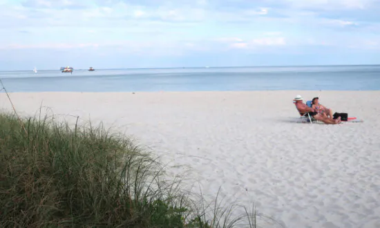 Natives and Nature Make Up Much of Broward County’s Appeal
