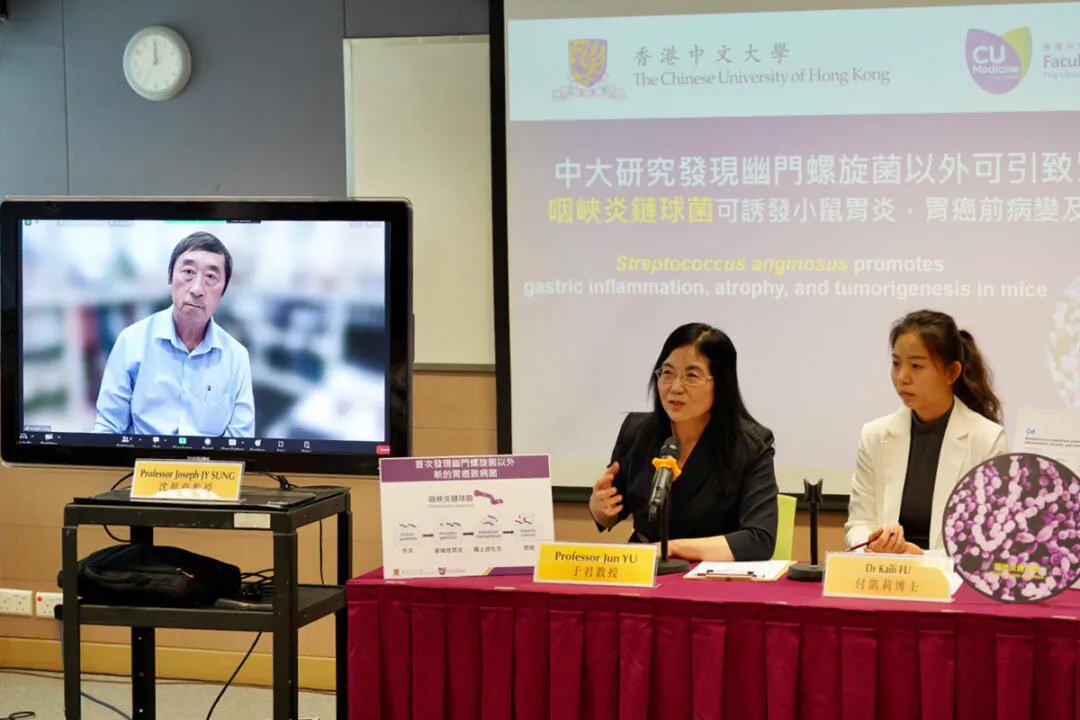 A study by the Faculty of Medicine at CUHK found that a bacterium called Streptococcus anginosus can cause gastric cancer. (Adrian Yu/The Epoch Times)
