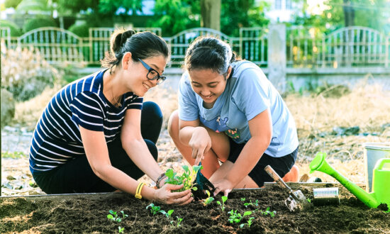 Ready, Set, Spring! The Best Garden Vegetables for an Early Start