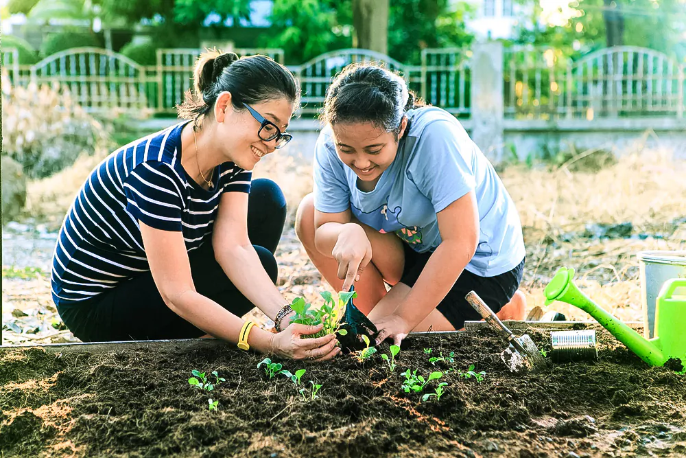 March is not too early to get your vegetable garden started. (stockphoto mania/Shutterstock)