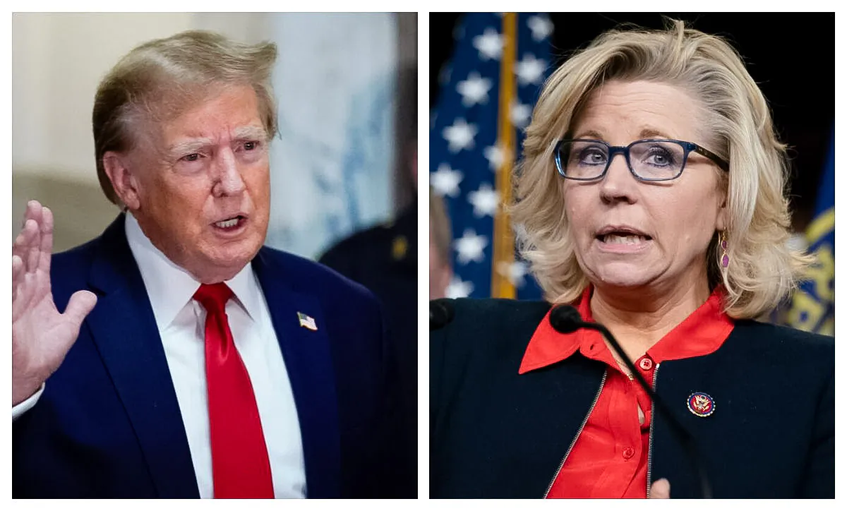 Former U.S. President Donald Trump and former Rep. Liz Cheney in file photos (Eduardo Munoz Alvarez-Pool/Getty Images; J. Scott Applewhite/AP Photo)