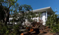 Ex-tropical Cyclone Megan Sweeps Through Inland Northern Territory