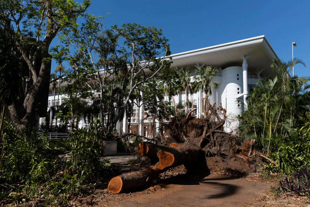 The remains of a large African Mahogany tree, felled during Cyclone Marcus, is seen in the grounds of Parliament House in Darwin, Australia, on April 8, 2018. (Photo by Brook Mitchell/Getty Images)