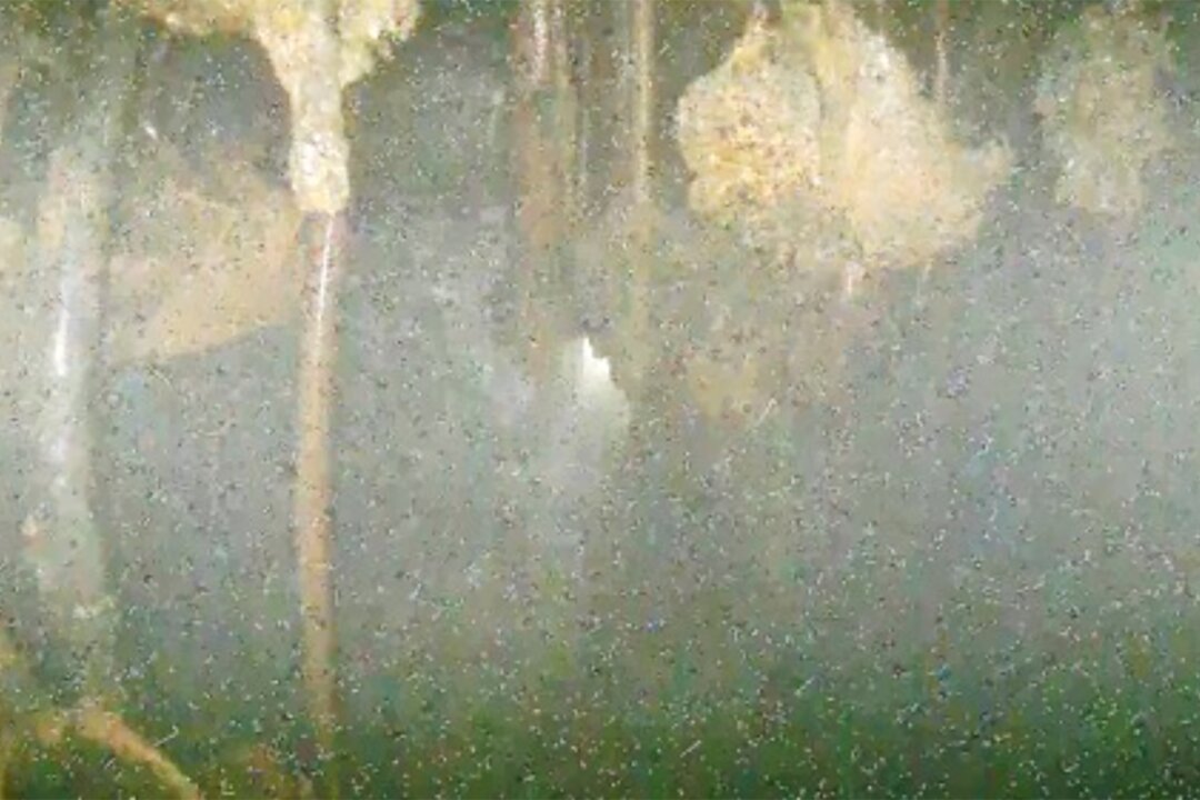 Images Taken Deep Inside Melted Fukushima Reactor Show Damage But Leave Many Questions