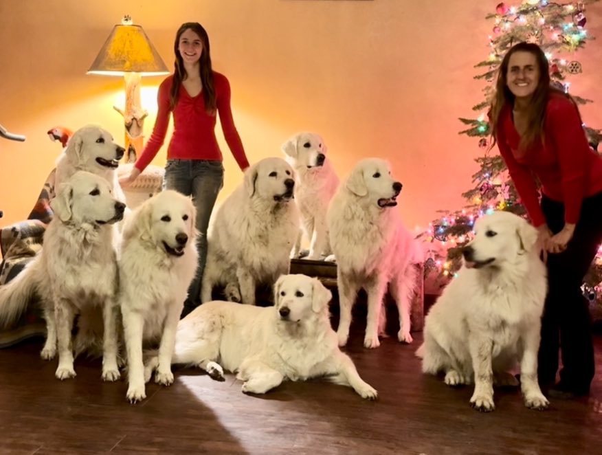 Mariann with her daughter and their dogs.