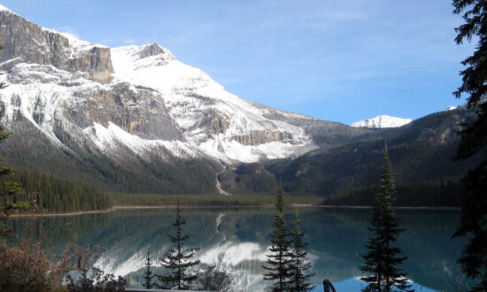 Invasive Species Lead to Access Restrictions in BC, Alberta National Parks