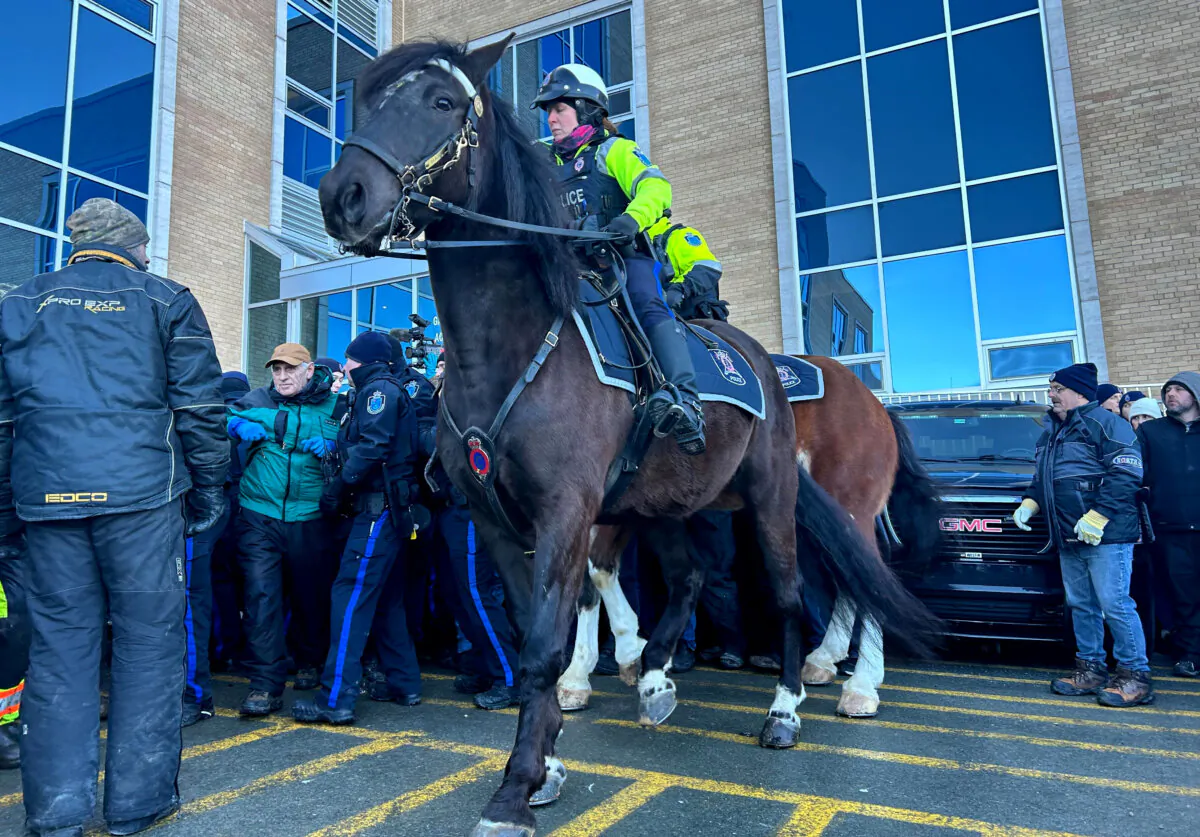 Royal Newfoundland Constabulary officers on horses try to disperse a shouting crowd as protesting fishers blocked Newfoundland and Labrador government officials from entering the legislature ahead of the scheduled presentation of the provincial budget in St. John's on March 20, 2024. (The Canadian Press/Sarah Smellie)