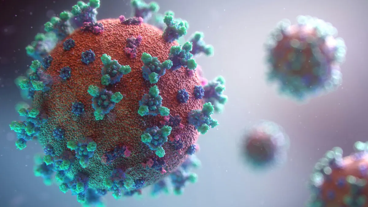 (Fusion Medical Animation/Unsplash.com)