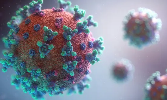 COVID-19 INQUIRY: ‘Inadequate Emphasis’ on Mental Health During Pandemic, Psychologists Say