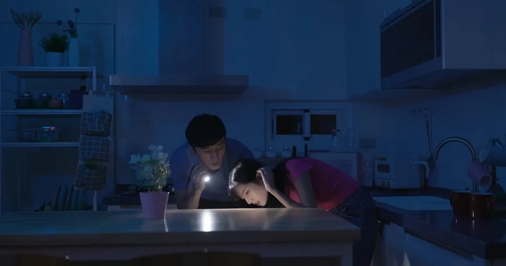 Having charged, ready-to-go emergency lights at hand can be a lifesaver when the power goes out.(aslysun/Shutterstock)