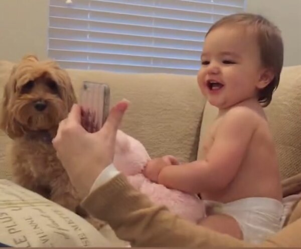 Babies Have Hilarious Video Chat With Each Other