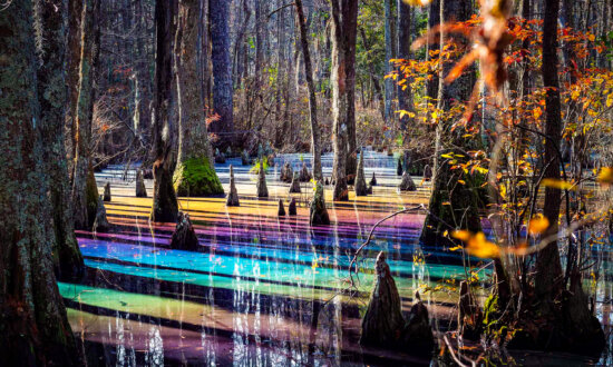 Stunningly Beautiful ‘Rainbow Pools’ in Virginia Are Totally Natural—Here’s How They Are Created