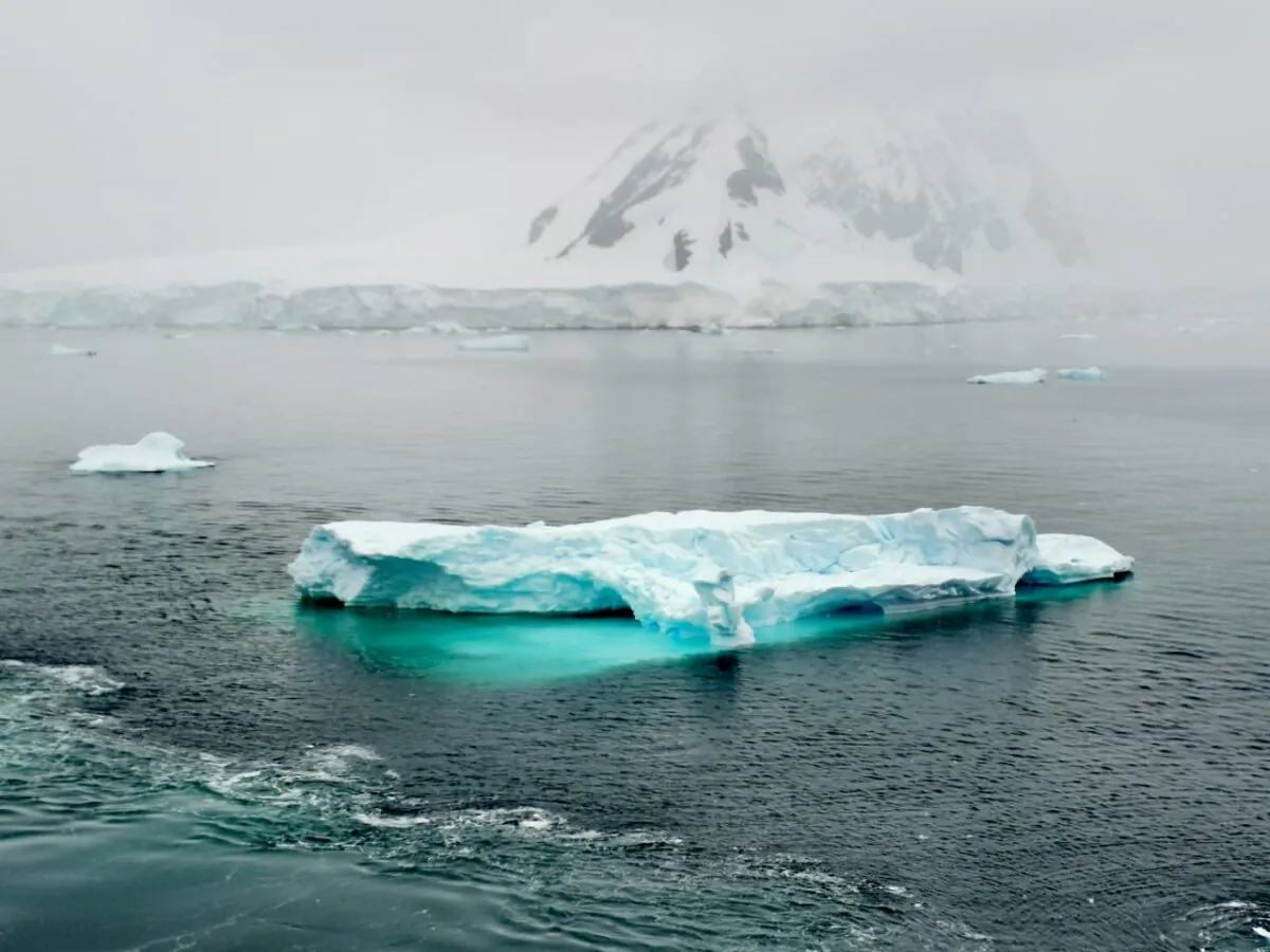 Icebergs floating in Paradise Bay, Antarctica, in February 2024. (Cesar Calani / The Epoch Times)