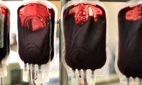 Researchers Concerned About Blood Transfusions From Vaccinated and Long-COVID Patients, Propose Changes: Preprint