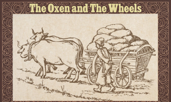 Oxen Drawing a Loaded Wagon Hear Wheels Complaining at Every Turn—Teach Them a Life Lesson